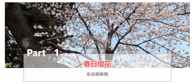 1744963383716958.png 02.png